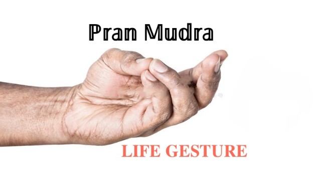 How To Do Prana Mudra Healthflies